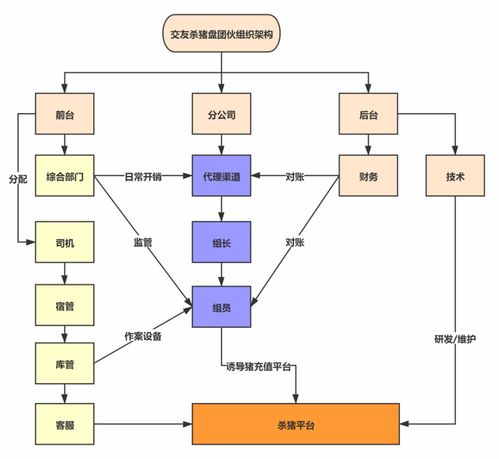 揭秘花呗风控套出之路，案例分析与深度解析