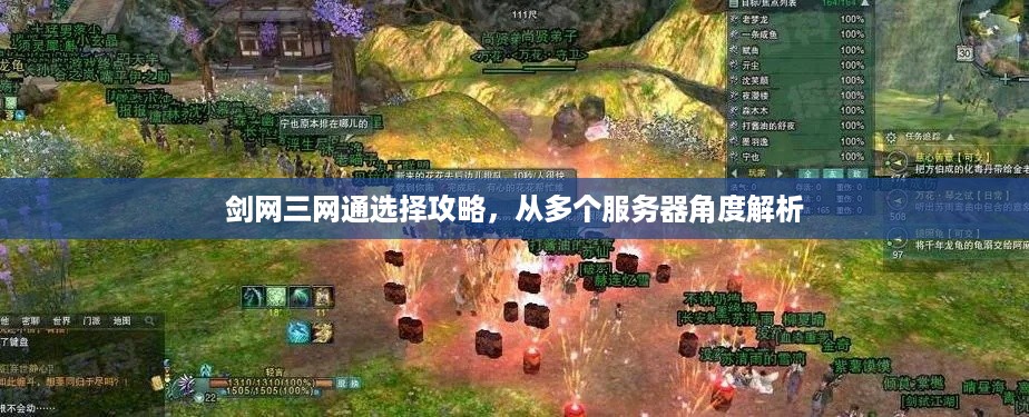 剑网三网通选择攻略，从多个服务器角度解析