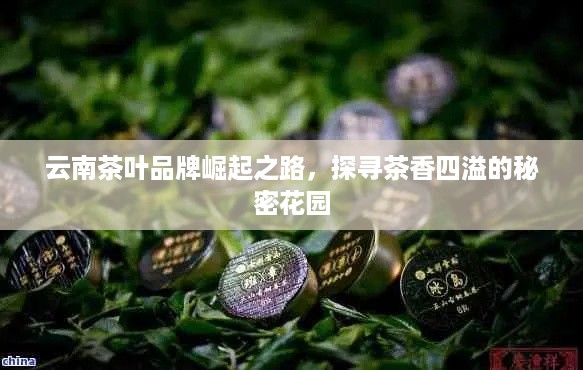 云南茶叶品牌崛起之路，探寻茶香四溢的秘密花园