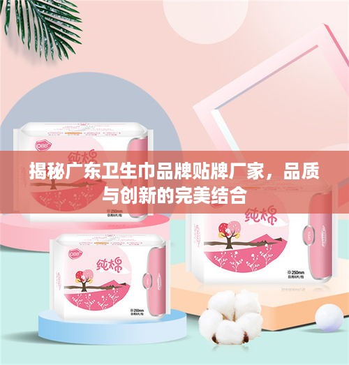 揭秘广东卫生巾品牌贴牌厂家，品质与创新的完美结合