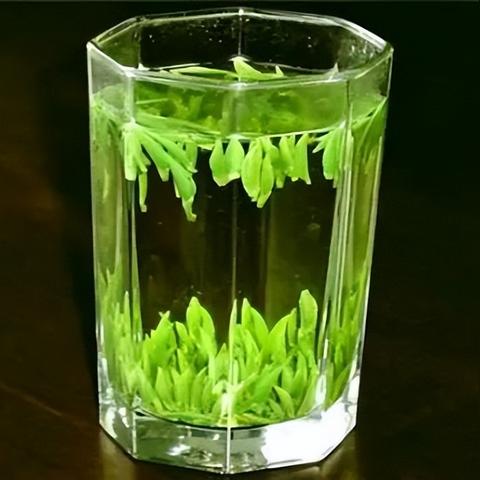 早市新宠—盘点几款值得尝试的茶叶品牌
