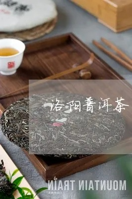 洛雨茶叶，品味自然，传承千年的茶香传奇