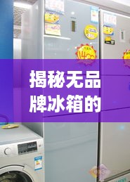 揭秘无品牌冰箱的实用性与性价比—选购指南