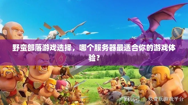 野蛮部落游戏选择，哪个服务器最适合你的游戏体验？