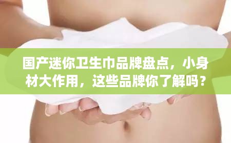 国产迷你卫生巾品牌盘点，小身材大作用，这些品牌你了解吗？