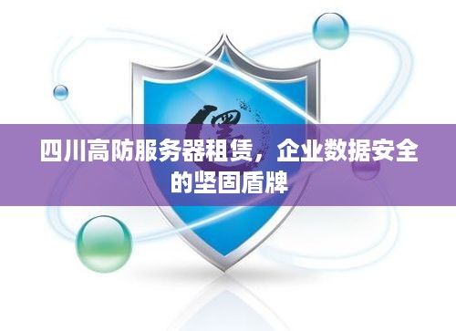 四川高防服务器租赁，企业数据安全的坚固盾牌