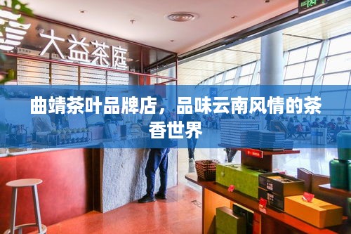 曲靖茶叶品牌店，品味云南风情的茶香世界