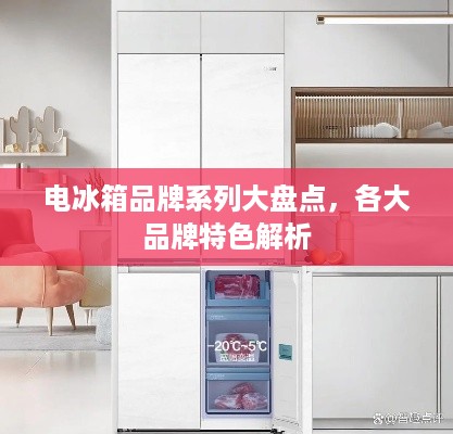电冰箱品牌系列大盘点，各大品牌特色解析