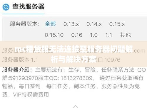 mc租赁服无法连接至服务器问题解析与解决方案