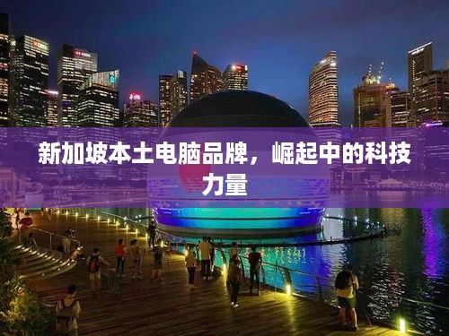 新加坡本土电脑品牌，崛起中的科技力量