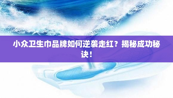 小众卫生巾品牌如何逆袭走红？揭秘成功秘诀！