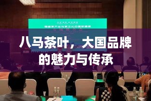 八马茶叶，大国品牌的魅力与传承