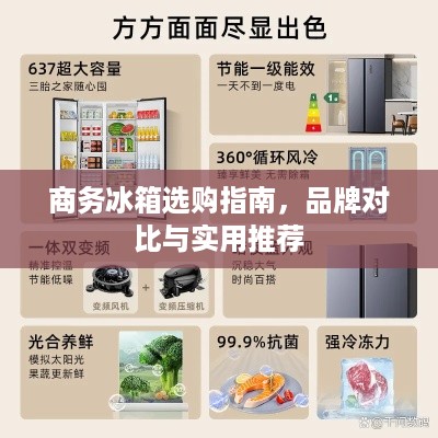 商务冰箱选购指南，品牌对比与实用推荐