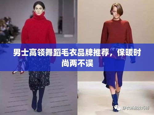 男士高领舞蹈毛衣品牌推荐，保暖时尚两不误