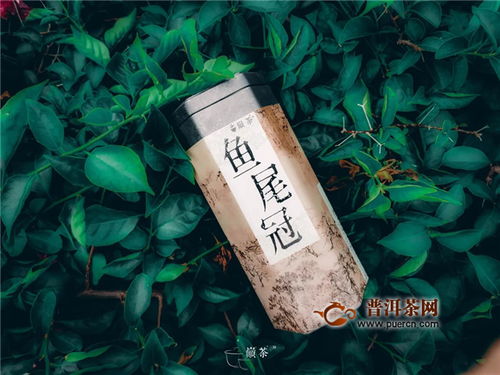 中国茶叶品牌帽子，探寻国饮之巅的瑰宝