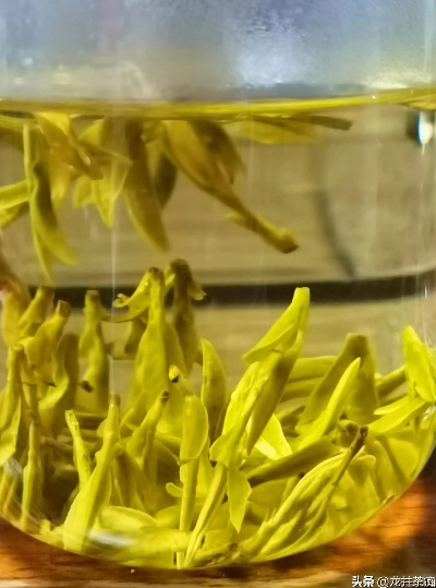 性价比超高的黄金茶叶品牌盘点，好喝不贵，值得收藏！
