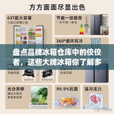 盘点品牌冰箱仓库中的佼佼者，这些大牌冰箱你了解多少？