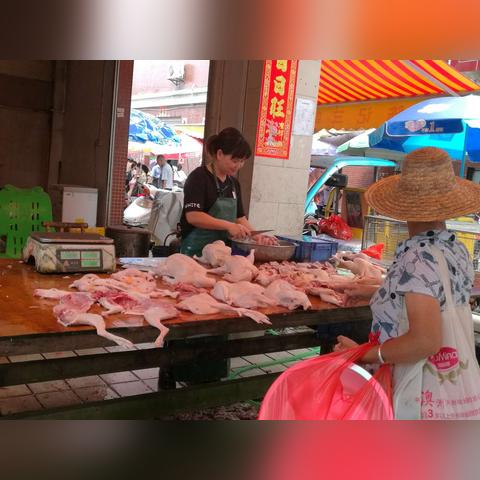 鹅鸭杀服务器大盘点与游戏体验分享