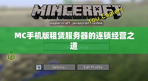 MC手机版租赁服务器的连锁经营之道