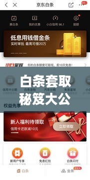白条套取秘笈大公开
