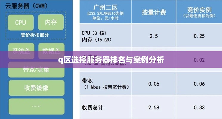 q区选择服务器排名与案例分析