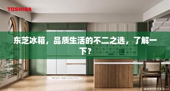 东芝冰箱，品质生活的不二之选，了解一下？