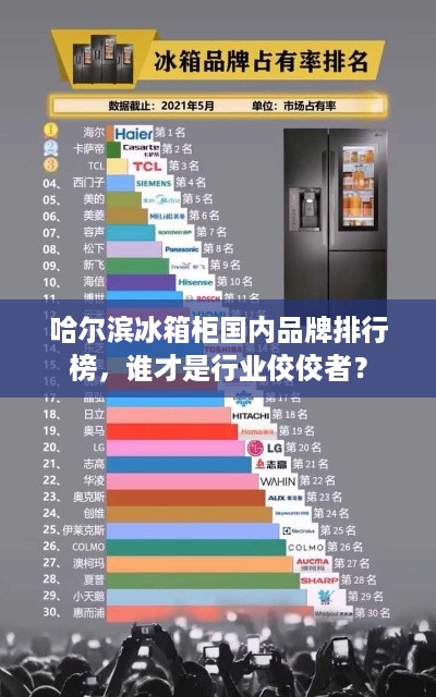 哈尔滨冰箱柜国内品牌排行榜，谁才是行业佼佼者？