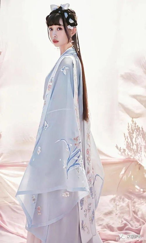宋制汉服背心品牌推荐，女性专属美衣大盘点