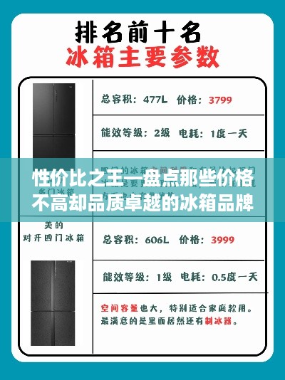 性价比之王—盘点那些价格不高却品质卓越的冰箱品牌
