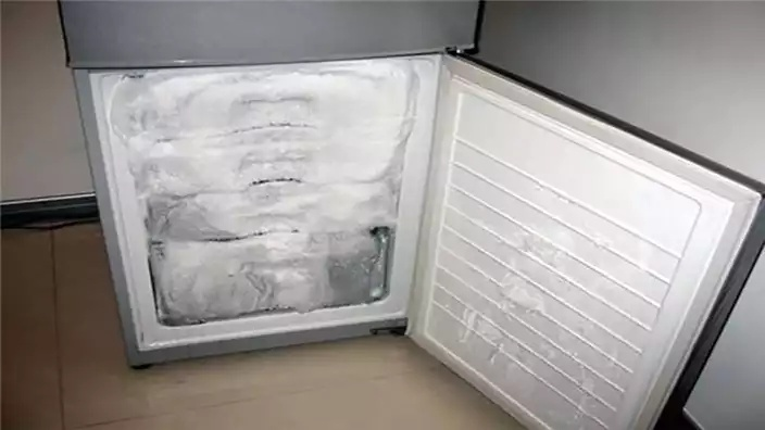 揭秘省电神器！这些冰箱品牌让你省心又省电