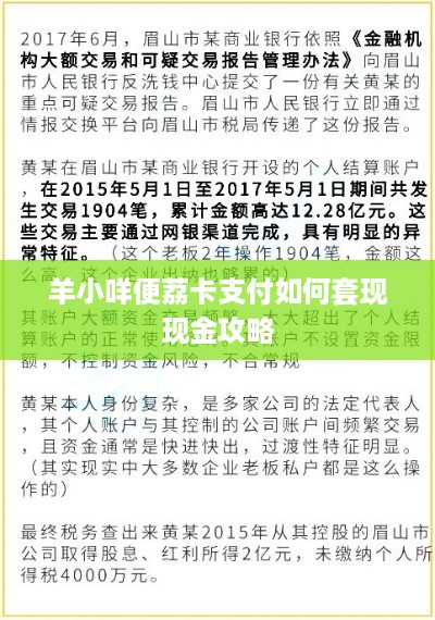 羊小咩便荔卡支付如何套现现金攻略