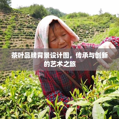 茶叶品牌背景设计图，传承与创新的艺术之旅