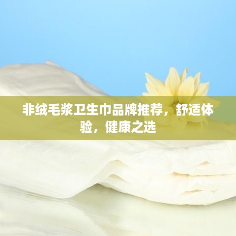 非绒毛浆卫生巾品牌推荐，舒适体验，健康之选