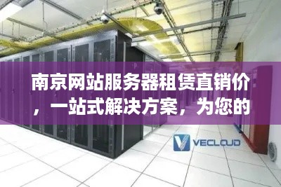 南京网站服务器租赁直销价，一站式解决方案，为您的业务保驾护航