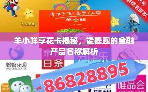 羊小咩享花卡揭秘，能提现的金融产品名称解析