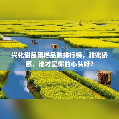 兴化甜品蛋糕品牌排行榜，甜蜜诱惑，谁才是你的心头好？