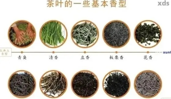 如何挑选好茶叶品牌，实用指南与案例分析