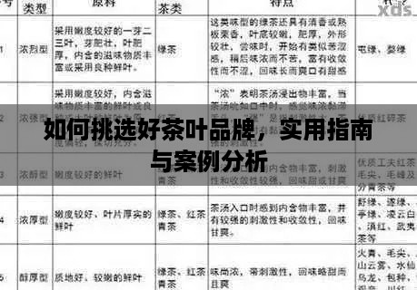 如何挑选好茶叶品牌，实用指南与案例分析