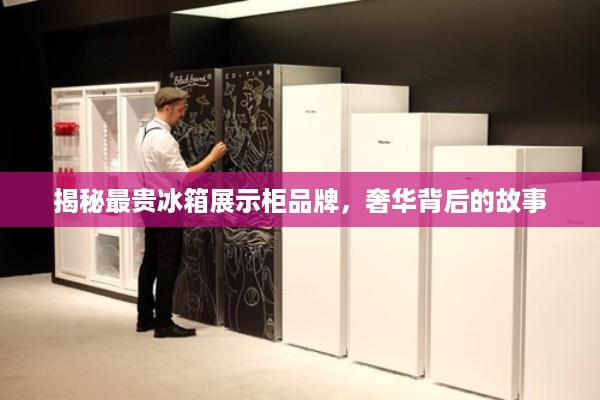 揭秘最贵冰箱展示柜品牌，奢华背后的故事