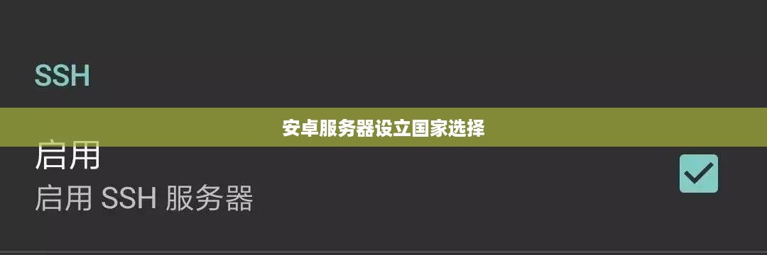 安卓服务器设立国家选择