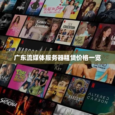 广东流媒体服务器租赁价格一览