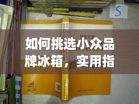 如何挑选小众品牌冰箱，实用指南与案例分析