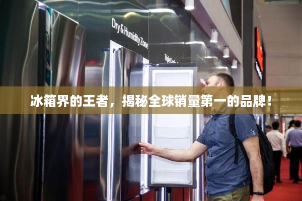 冰箱界的王者，揭秘全球销量第一的品牌！