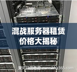 混战服务器租赁价格大揭秘