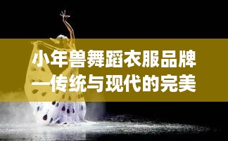 小年兽舞蹈衣服品牌—传统与现代的完美融合