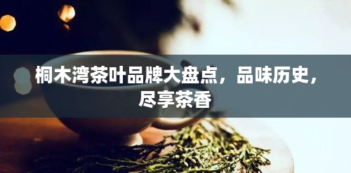 桐木湾茶叶品牌大盘点，品味历史，尽享茶香