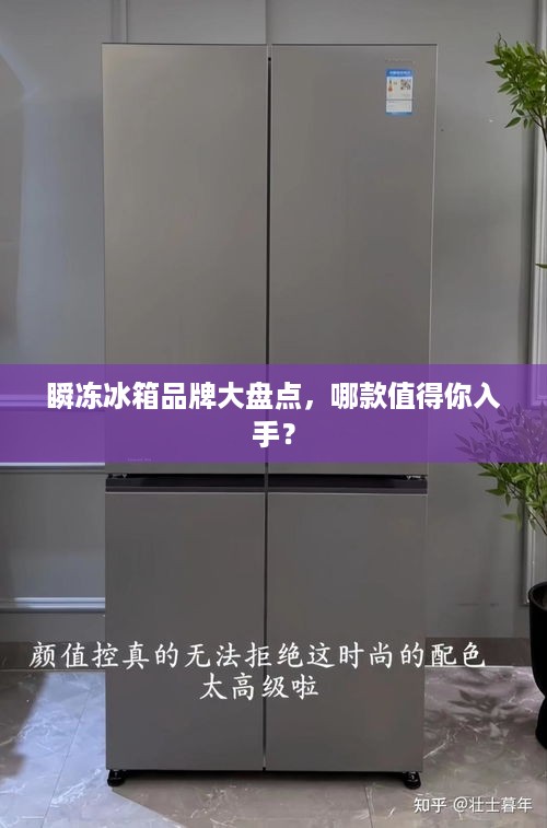 瞬冻冰箱品牌大盘点，哪款值得你入手？