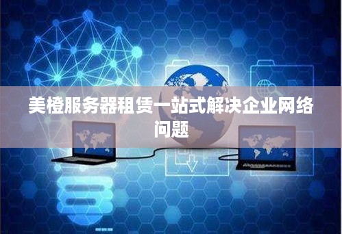 美橙服务器租赁一站式解决企业网络问题