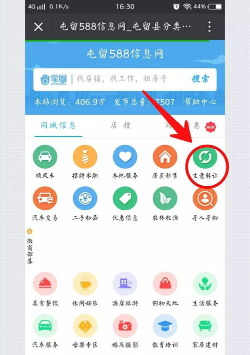 如何通过电话号码精准查询个人信息