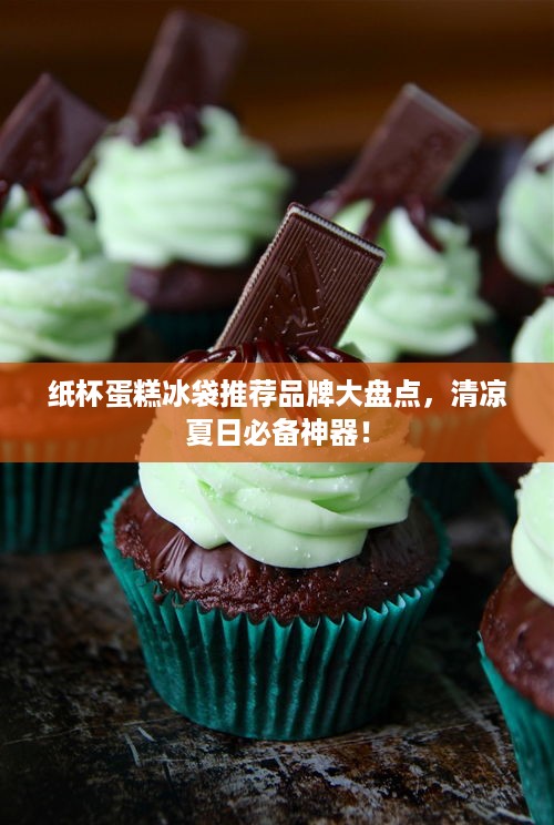 纸杯蛋糕冰袋推荐品牌大盘点，清凉夏日必备神器！